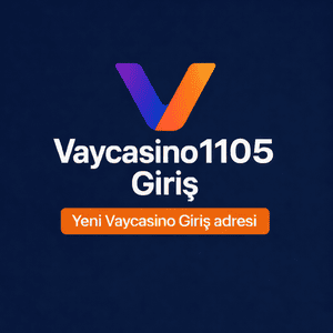 vaycasino1105