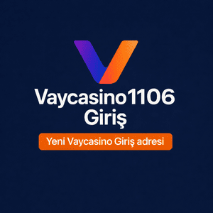 vaycasino1106